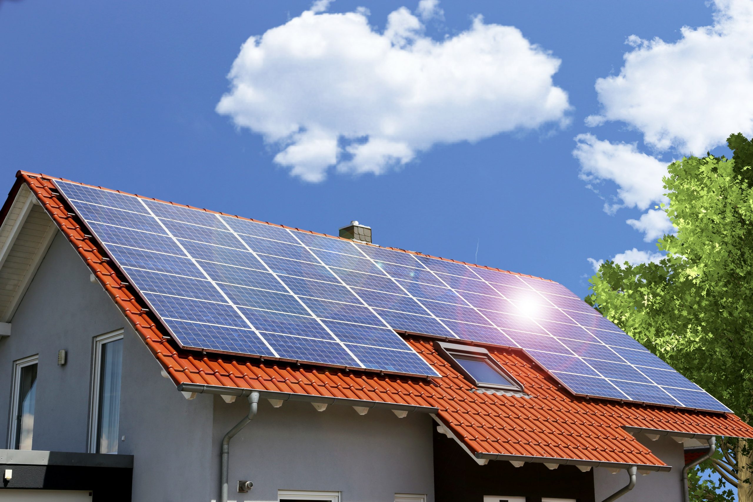 Roof with solar panels Nettoyage panneaux solaires hangars agricoles Tarn